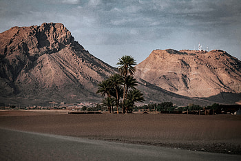 Nature, Mountains, Sand, Palms, Desert, Oasis HD wallpaper