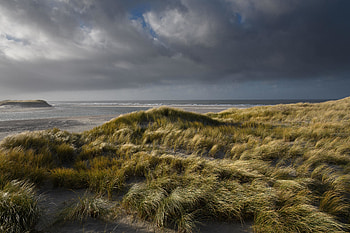 Coast, grassland, grass, landscape HD wallpaper
