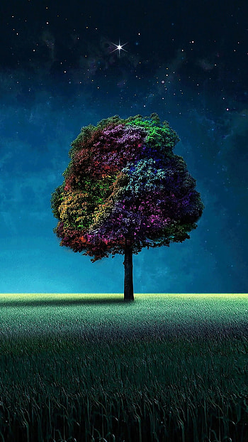 Ultra For Mobile, Ultra Nature HD phone wallpaper