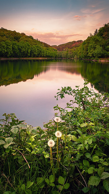 Beautiful For, Green Lake HD phone wallpaper