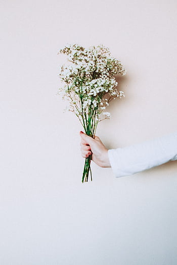 A delicate bouquet of white flowers held by a woman's hand against a soft background. HD phone wallpaper