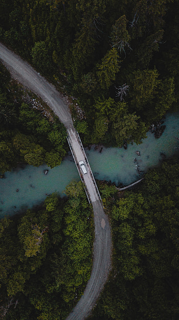Nature, Rivers, Trees, View From Above, Forest, Car, Machine, Bridge HD phone wallpaper