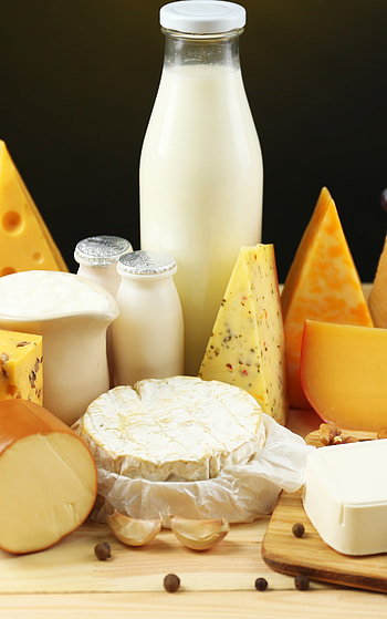 Cheese, Variety, Tasty, Snack HD phone wallpaper
