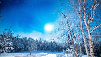 Morning Sun in Forest, path, snow, winter, trees, sky, dusk HD wallpaper