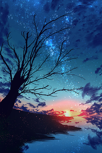 Sunset, Sky, Art, Wood, Tree, Branches, Particles HD phone wallpaper