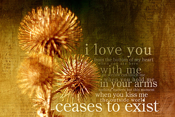 Declaration, love, kiss mebottom, world, heart, people, arms HD wallpaper