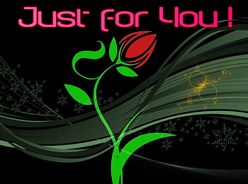 Just For You!, rose, 1600x1200, flowers HD wallpaper