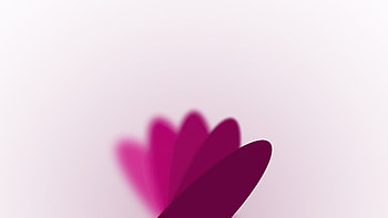 Flower Minimal White Blur, flowers, blur HD wallpaper