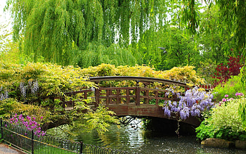SPRING BRIDGE, time, blooms, spring, green HD wallpaper