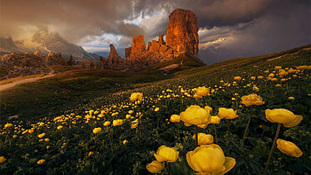 Stormy Weather in the Dolomites, Italy, clouds, south tyrol, landscape, sky, meadow, flowers, rocks, alps HD wallpaper
