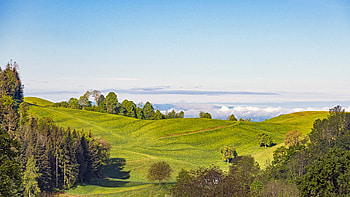 Nature, Trees, Sky, Field, Path, Hill, Hut HD wallpaper