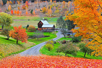 Vermont fall foliage, Vibrant colors, Spectacular views, Seasonal beauty HD wallpaper