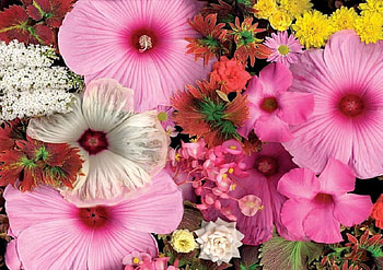 Blossom Bouquet., bouquet, colour, petal, flower HD wallpaper