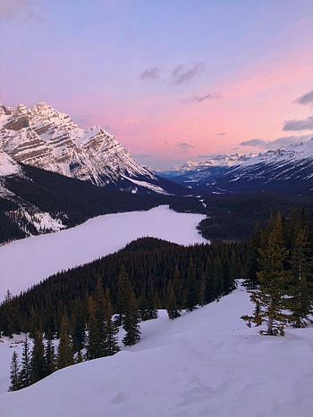 Nature, Trees, Sky, Mountains, Snow, Mountain Landscape HD phone wallpaper