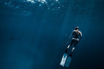 Blue shades of life, diving blog, Gabriella Gerbasi, Life in blue HD wallpaper