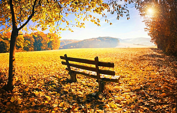 autumn, bench, leaves, nature HD wallpaper
