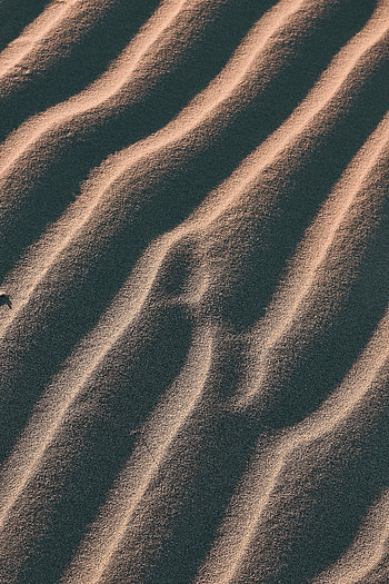 Nature, Sand, Desert, Relief, Dunes, Links HD phone wallpaper