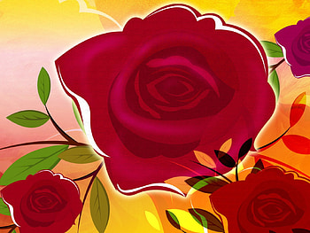 Red Roses, flowers, art HD wallpaper