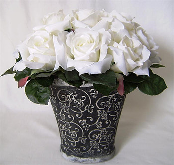 With Roses for my dear friend Roxanna (OUTTa _My_H3aD, white, roses, nature, flowers, friend, gift HD wallpaper