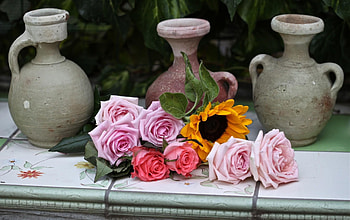 Flowers, Roses, Water Lilies, Sunflower, Tile HD wallpaper
