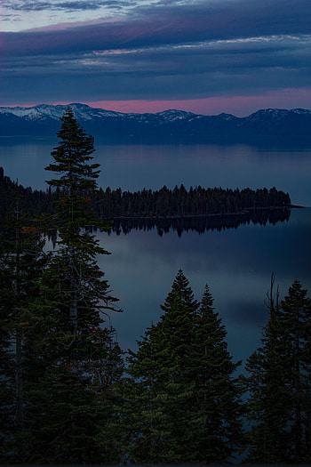 Nature, Trees, Usa, Lake, Evening, United States, South Lake Tahoe HD phone wallpaper