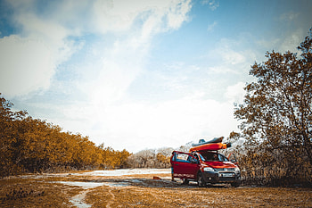 Trees, Volkswagen, Cars, Suv, Field HD wallpaper