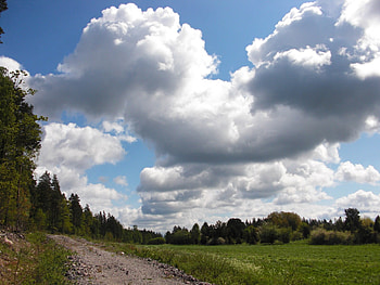 Sky and the forest, blue, white, green, clouds, sky, road, beautiful, forest HD wallpaper