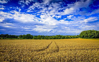 Farm background, Posted by Michelle Thompson HD wallpaper