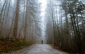 A lone traveler walks through a foggy forest in Grainau, enhancing the serene nature scene. HD wallpaper