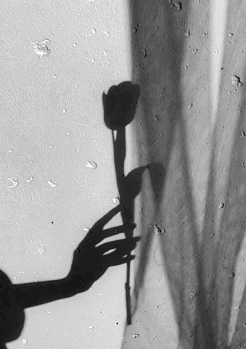 A black and white of a hand shadow holding a tulip against a textured wall. HD phone wallpaper