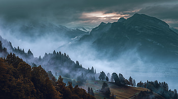 Foggy Mountain Landscape, fog, mountain, tree, nature, landscape HD wallpaper