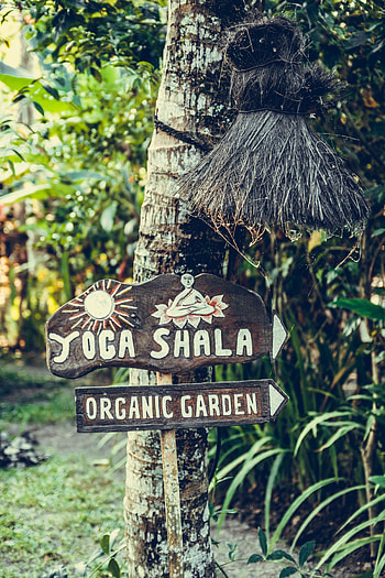 Miscellanea, Miscellaneous, Wood, Tree, Garden, Sign, Signboard, Yoga, Organic, Organic Fertilizer HD phone wallpaper
