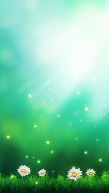 light & flowers, green, light, artistic, flower HD phone wallpaper
