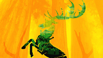 House Baratheon, game-of-thrones-season-8, game-of-thrones, tv-shows, behance HD wallpaper