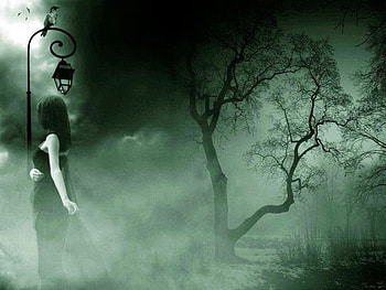 Under The Lamplight, trees, lady, lamp post, foggy HD wallpaper