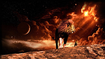 Artistic - Animal - Lion - Fire - Flame - Cgi - Digital Art - Manipulation | Darkness - Autor Variado | Pinterest | Artistic , ... HD wallpaper