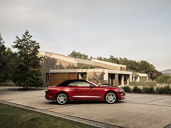 vehicle, Ford Mustang HD wallpaper