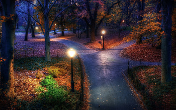 Landscape, Trees, Night HD wallpaper