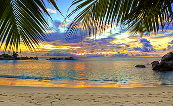 Beach wonders, Sandy shores, Coastal wonders, Nature's bliss HD wallpaper