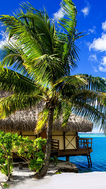 Travelling to bungalows, Maldives , Vacation dreams, Beach bliss HD phone wallpaper