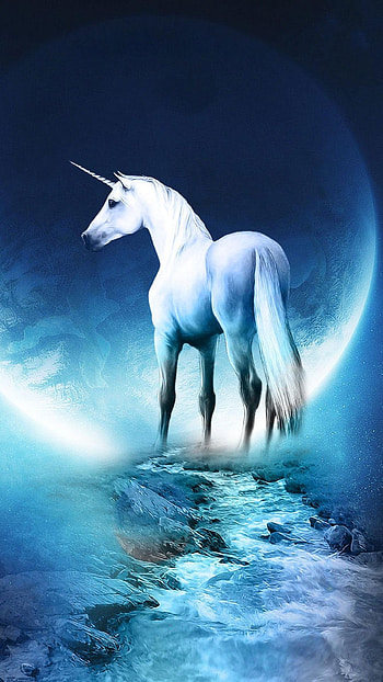 Latest, White Unicorn, white, unicorn HD phone wallpaper