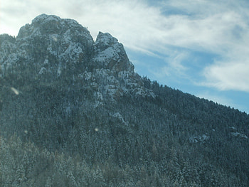 Up on the Mountain Top, forest, craggy, snow, mountain HD wallpaper