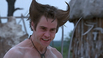 Ace Ventura, Backdrops collection, Movie database, TMDB HD wallpaper