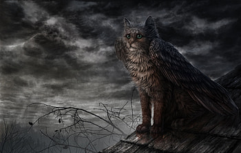 Fantasy cat, pisica, wings, fantasy, art, cat, dark HD wallpaper