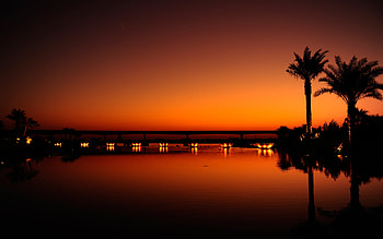 Dubai, Night , , Beach night HD wallpaper