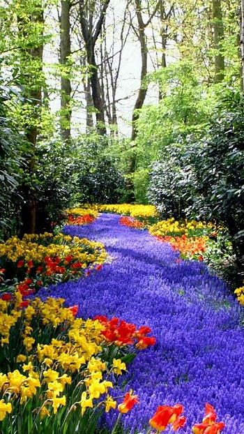 Spring HD phone wallpaper