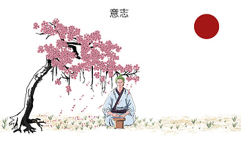 RORONOA ZORO, One Piece HD wallpaper