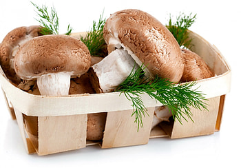Mushrooms, healthy, natur, delicious, , food HD wallpaper