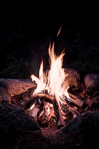 Fire, Bonfire, Flame, Miscellanea, Miscellaneous, Firewood, To Burn, Burn HD phone wallpaper