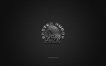Exeter Chiefs, English rugby club, Premiership Rugby, silver logo, gray carbon fiber background, rugby, Exeter, England, Exeter Chiefs logo HD wallpaper